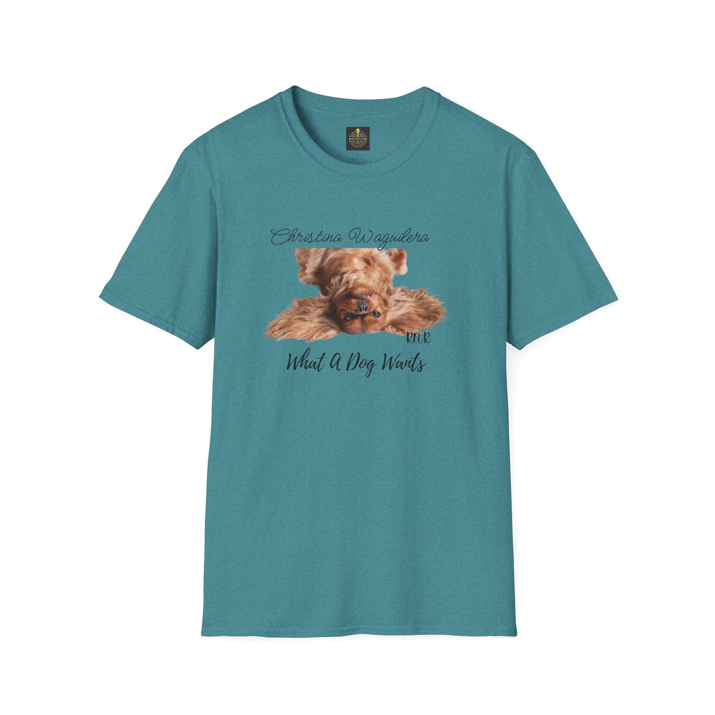 Christina Waguilera Band Tee