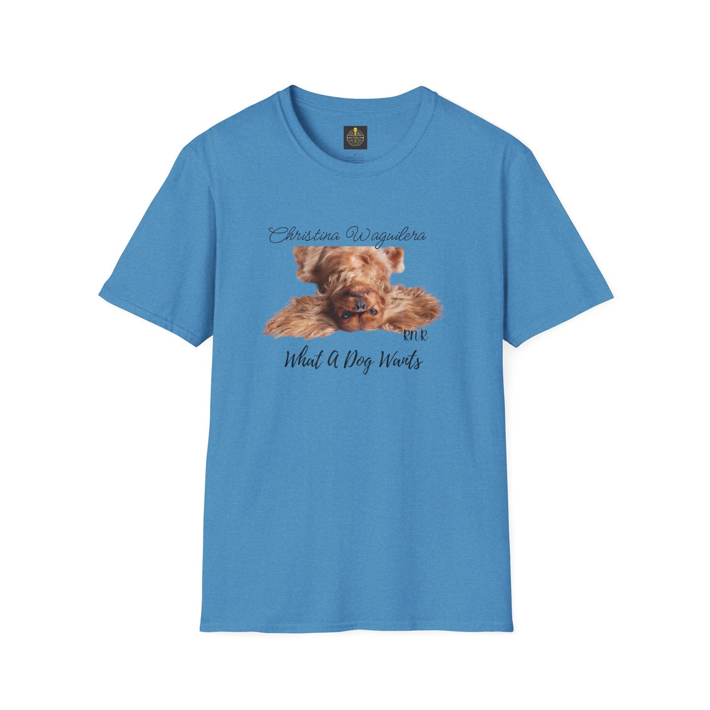 Christina Waguilera Band Tee