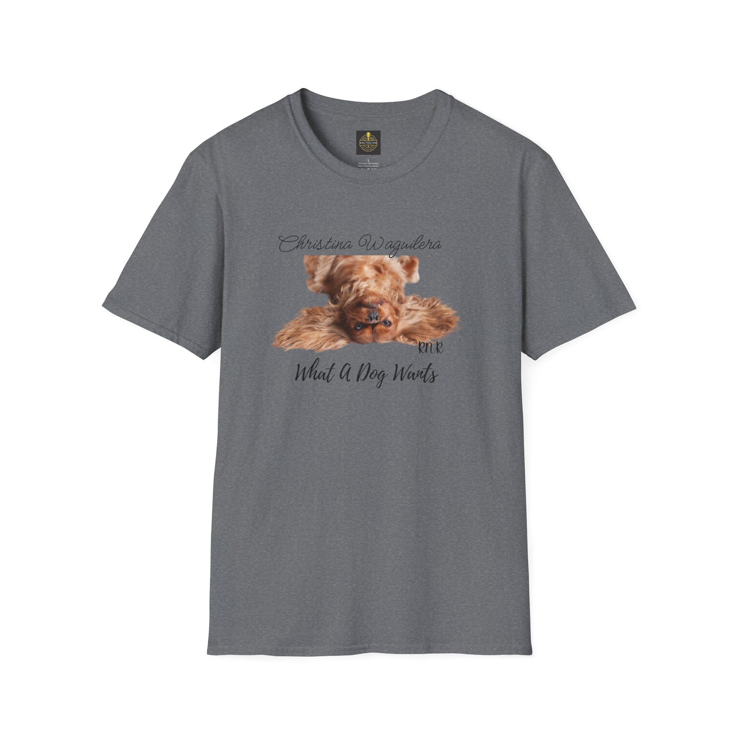 Christina Waguilera Band Tee