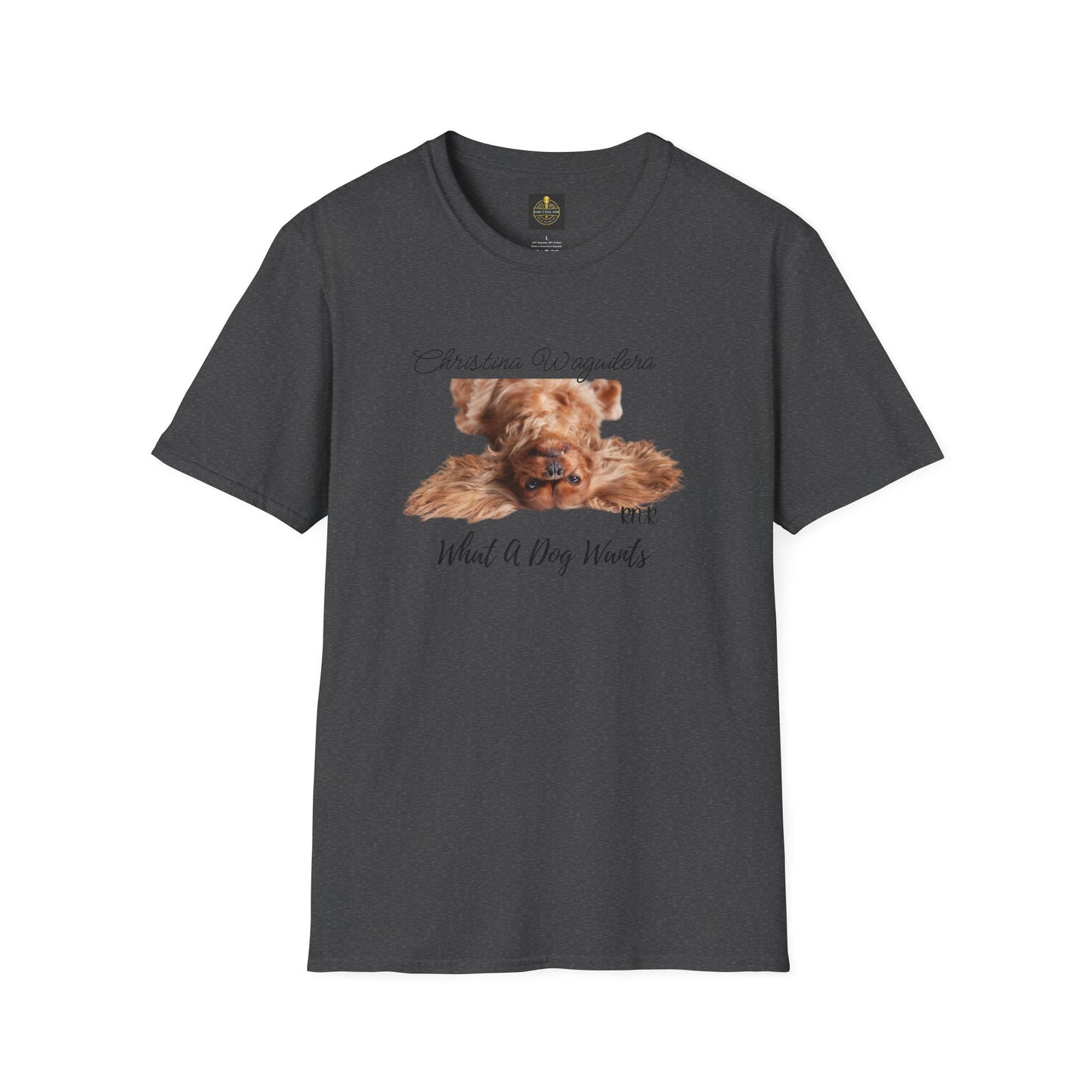 Christina Waguilera Band Tee