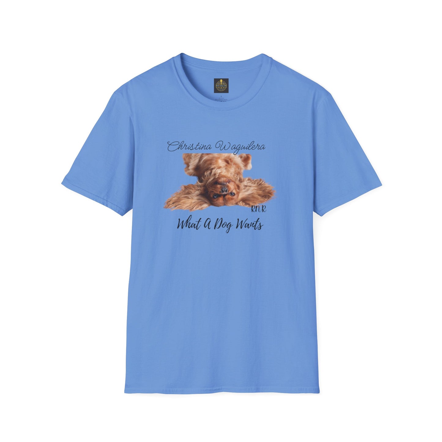 Christina Waguilera Band Tee