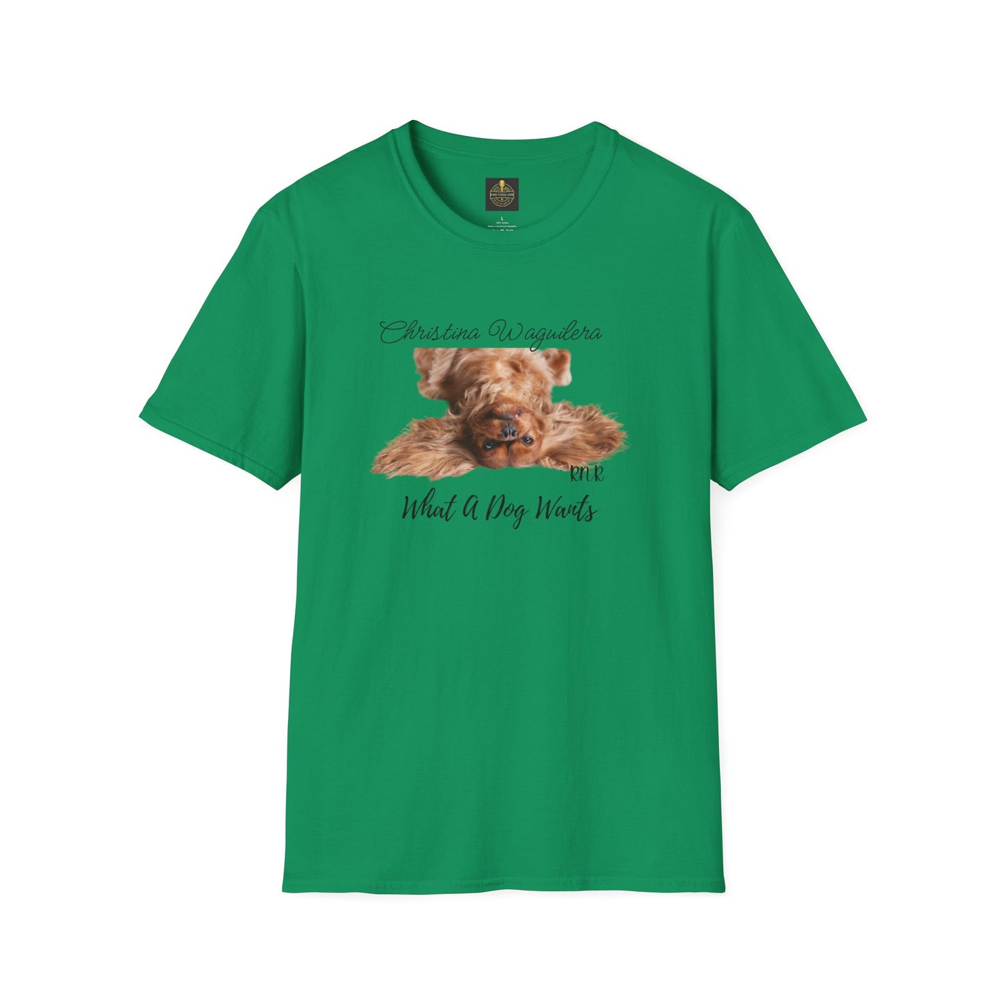 Christina Waguilera Band Tee