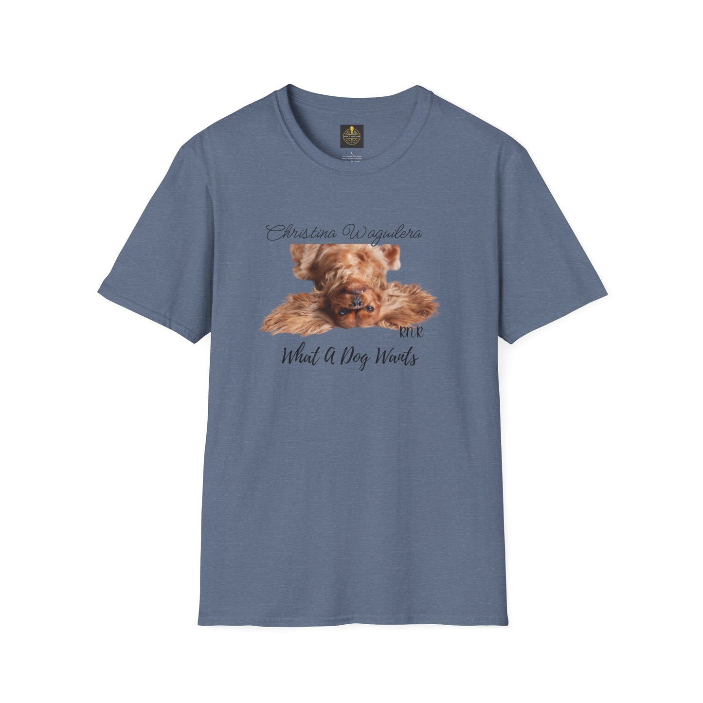 Christina Waguilera Band Tee