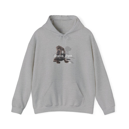 Shania Dane Hooded Band Sweatshirt