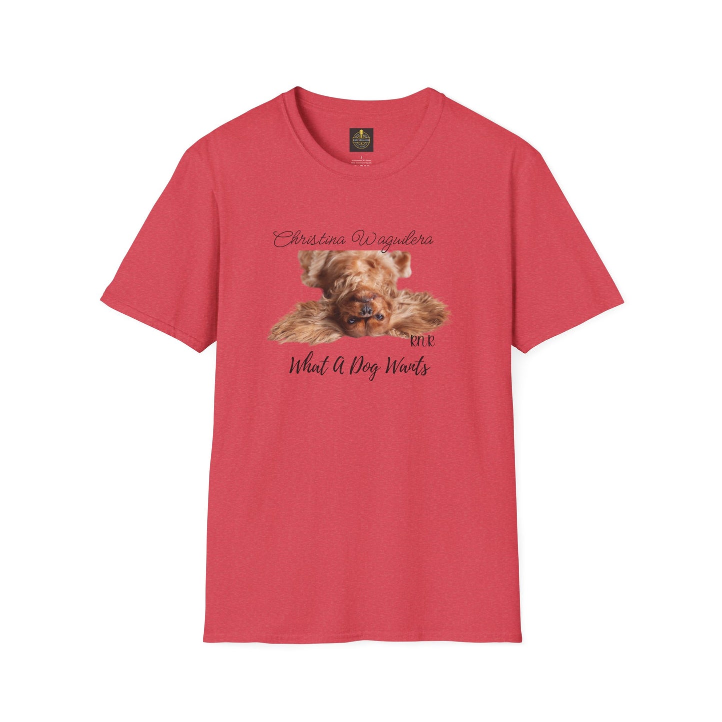 Christina Waguilera Band Tee