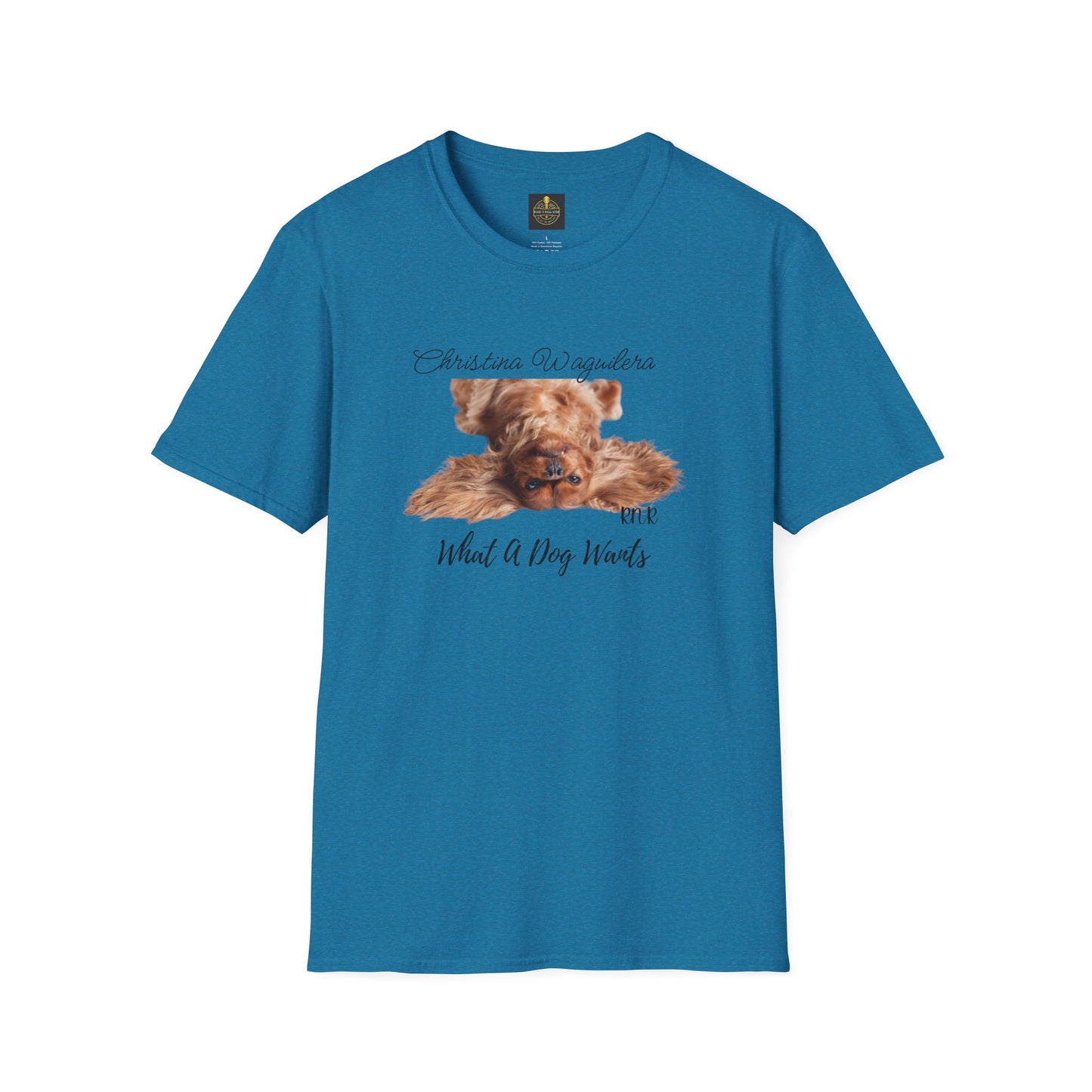 Christina Waguilera Band Tee