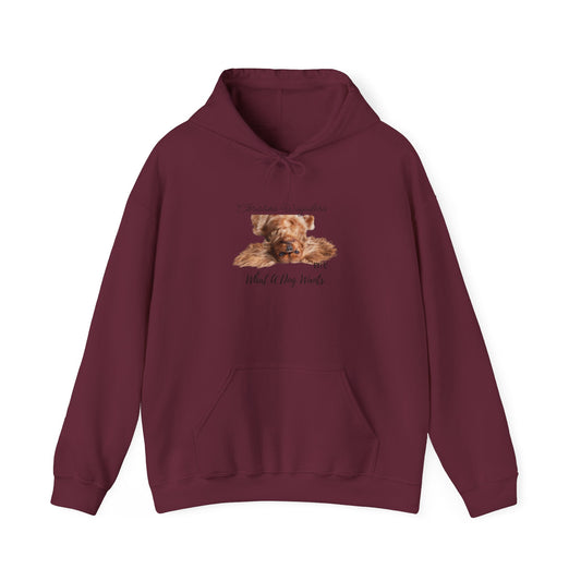 Christina Waguilera Hooded Band Sweatshirt